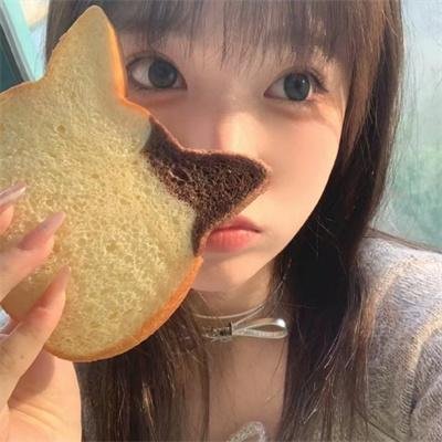 花豹王国